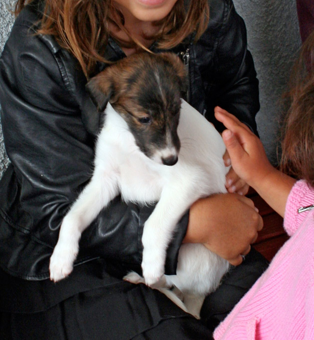 Surf Spots - Girl 1 Party